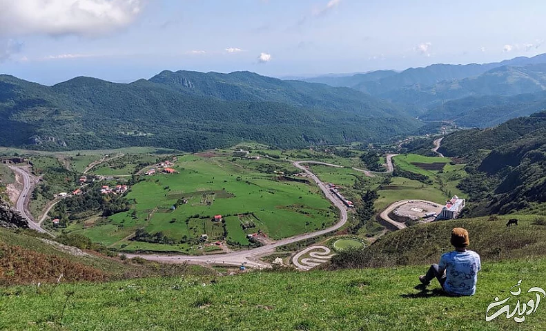 دشت بابونههای سفید کجاست؟